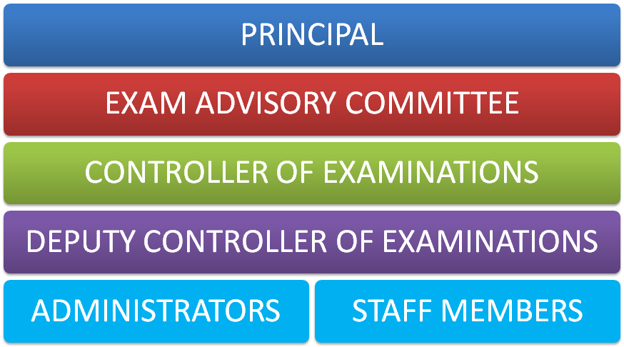 Organization Structure